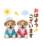 コーギーの夏！！（個別スタンプ：1）