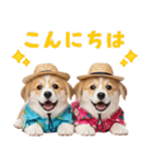 コーギーの夏！！（個別スタンプ：3）