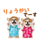 コーギーの夏！！（個別スタンプ：7）