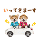 コーギーの夏！！（個別スタンプ：8）