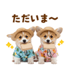 コーギーの夏！！（個別スタンプ：9）