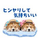 コーギーの夏！！（個別スタンプ：13）