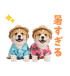 コーギーの夏！！（個別スタンプ：14）
