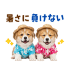 コーギーの夏！！（個別スタンプ：15）