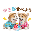 コーギーの夏！！（個別スタンプ：18）