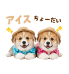 コーギーの夏！！（個別スタンプ：20）