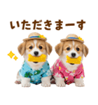 コーギーの夏！！（個別スタンプ：22）