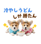 コーギーの夏！！（個別スタンプ：23）