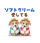 コーギーの夏！！（個別スタンプ：24）