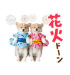 コーギーの夏！！（個別スタンプ：29）