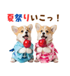 コーギーの夏！！（個別スタンプ：30）