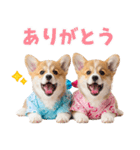 コーギーの夏！！（個別スタンプ：35）