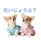 コーギーの夏！！（個別スタンプ：36）