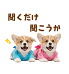 コーギーの夏！！（個別スタンプ：37）
