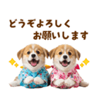 コーギーの夏！！（個別スタンプ：38）