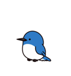 オオルリン（挨拶 文字無し①）（個別スタンプ：7）