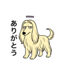 名前入りアフガンクリーム（個別スタンプ：1）