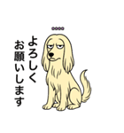名前入りアフガンクリーム（個別スタンプ：4）