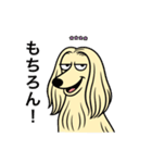 名前入りアフガンクリーム（個別スタンプ：7）