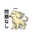名前入りアフガンクリーム（個別スタンプ：8）