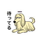 名前入りアフガンクリーム（個別スタンプ：9）
