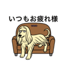 名前入りアフガンクリーム（個別スタンプ：11）
