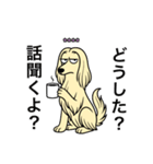 名前入りアフガンクリーム（個別スタンプ：13）