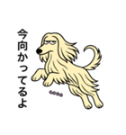 名前入りアフガンクリーム（個別スタンプ：14）