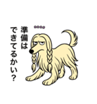 名前入りアフガンクリーム（個別スタンプ：15）