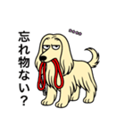 名前入りアフガンクリーム（個別スタンプ：17）