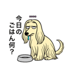 名前入りアフガンクリーム（個別スタンプ：19）
