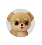 犬種プレミアム(チワワパピヨンパグ)（個別スタンプ：5）