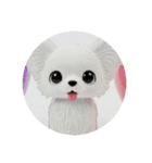 犬種プレミアム(チワワパピヨンパグ)（個別スタンプ：11）