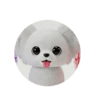 犬種プレミアム(チワワパピヨンパグ)（個別スタンプ：13）