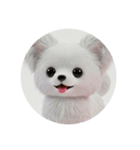 犬種プレミアム(チワワパピヨンパグ)（個別スタンプ：14）