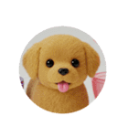 犬種プレミアム(チワワパピヨンパグ)（個別スタンプ：24）