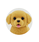 犬種プレミアム(チワワパピヨンパグ)（個別スタンプ：25）