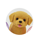 犬種プレミアム(チワワパピヨンパグ)（個別スタンプ：26）