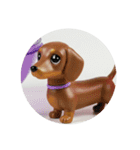 犬種プレミアム(チワワパピヨンパグ)（個別スタンプ：31）