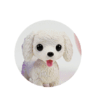 犬種プレミアム(チワワパピヨンパグ)（個別スタンプ：32）