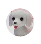 犬種プレミアム(チワワパピヨンパグ)（個別スタンプ：36）