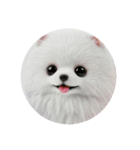 犬種プレミアム(チワワパピヨンパグ)（個別スタンプ：37）