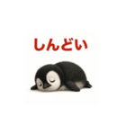 絶対に検索しないで ペンギンスタンプ（個別スタンプ：3）