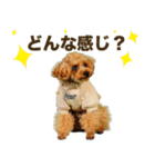 くむちゃんの可愛いスタンプです❕（個別スタンプ：1）