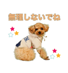 くむちゃんの可愛いスタンプです❕（個別スタンプ：2）