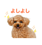 くむちゃんの可愛いスタンプです❕（個別スタンプ：5）
