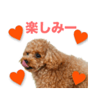 くむちゃんの可愛いスタンプです❕（個別スタンプ：6）