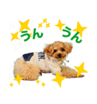 くむちゃんの可愛いスタンプです❕（個別スタンプ：7）