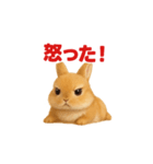 白と茶色のウサギに沼る（個別スタンプ：3）