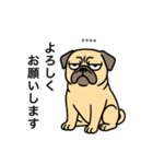 名前入りパグフォーン（個別スタンプ：1）